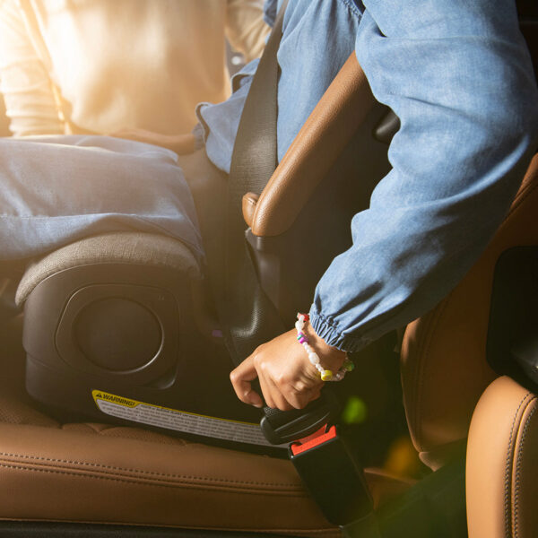 Xetch 2-in-1 Harness Booster Seat – Safe, Adjustable & Travel-Friendly - Image 61