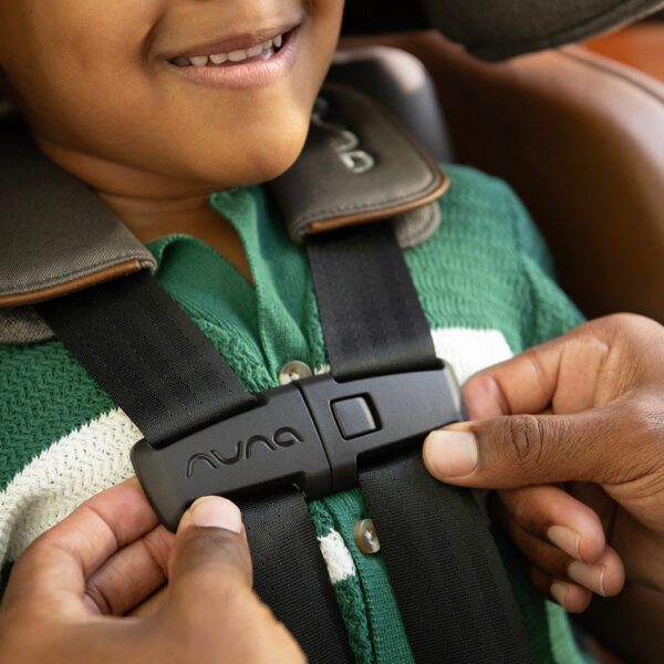 Xetch 2-in-1 Harness Booster Seat – Safe, Adjustable & Travel-Friendly - Image 63