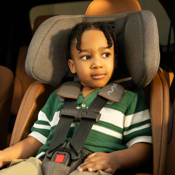 Xetch 2-in-1 Harness Booster Seat – Safe, Adjustable & Travel-Friendly - Image 62