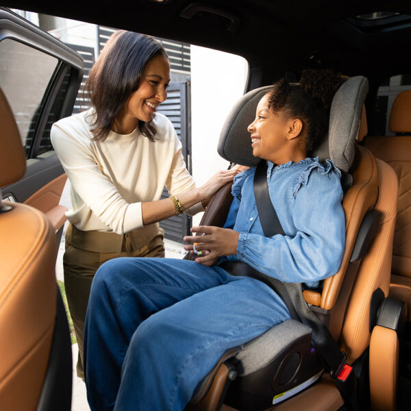 Xetch 2-in-1 Harness Booster Seat – Safe, Adjustable & Travel-Friendly - Image 59