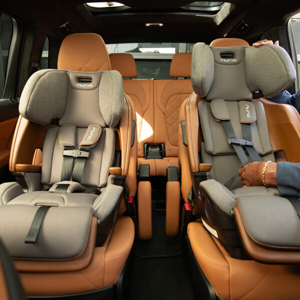 Xetch 2-in-1 Harness Booster Seat – Safe, Adjustable & Travel-Friendly - Image 56